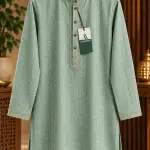 Sage Green Embroidered Panjabi